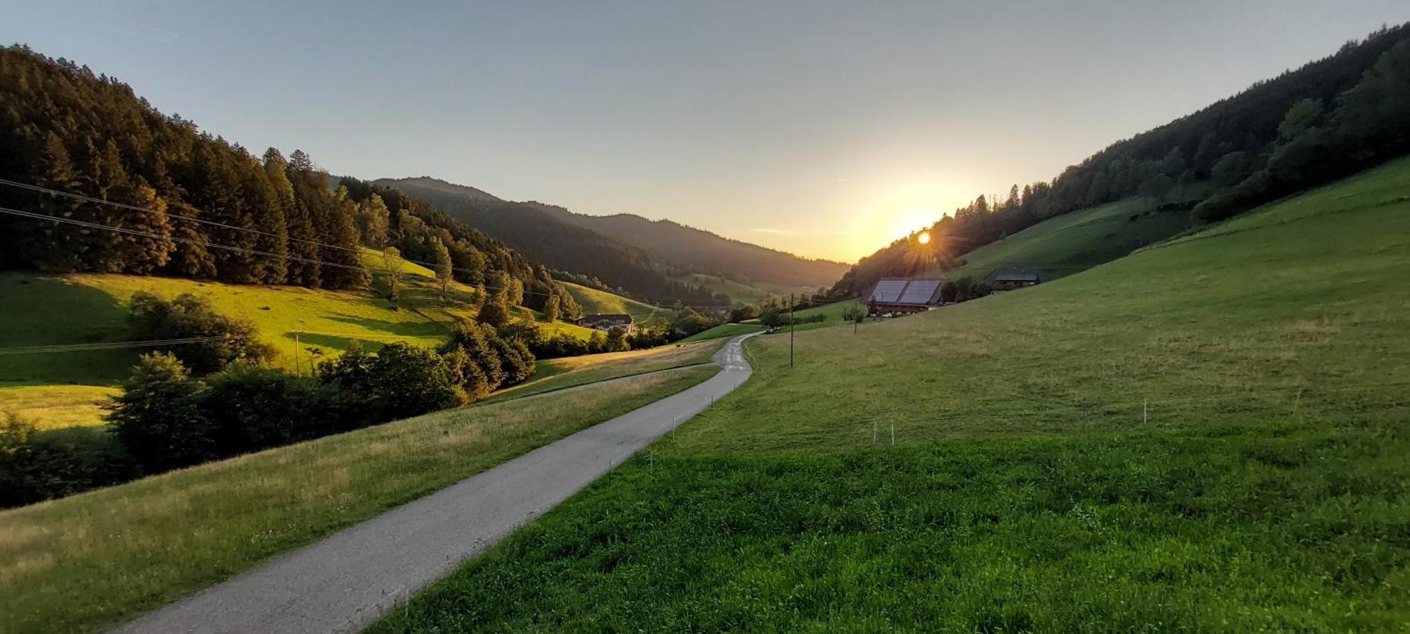 Irgendwo Im Schwarzwald Apartment Elzach Exterior photo